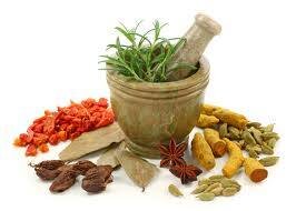 Online Herbal Supplement Store