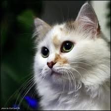 qtpi11's profile picture. Oh, the Thinks you can think!