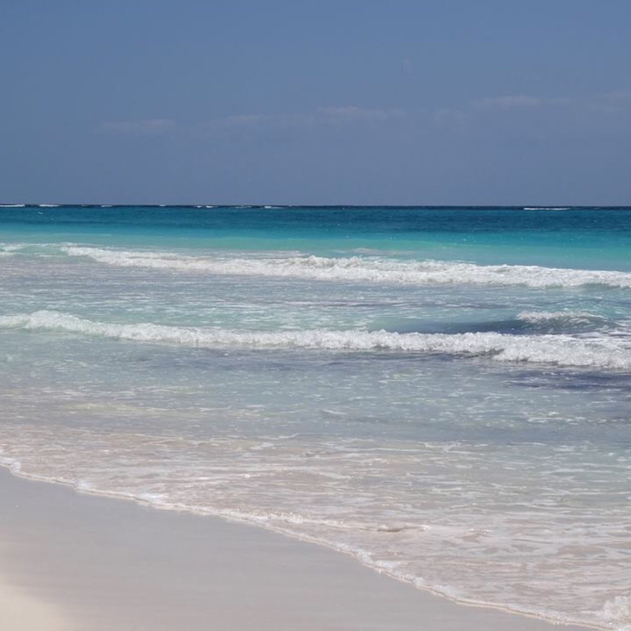 PattyCallahan4's profile picture. 