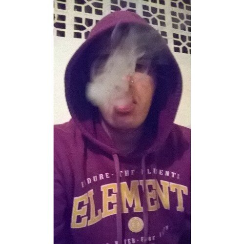 Eu vim da selva, sou leão, sou demais pro seu quintal !