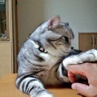 モモ (@oyaji0301) 's Twitter Profile
