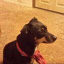 richard thomas cloyd - @cloyd155 - Twitter