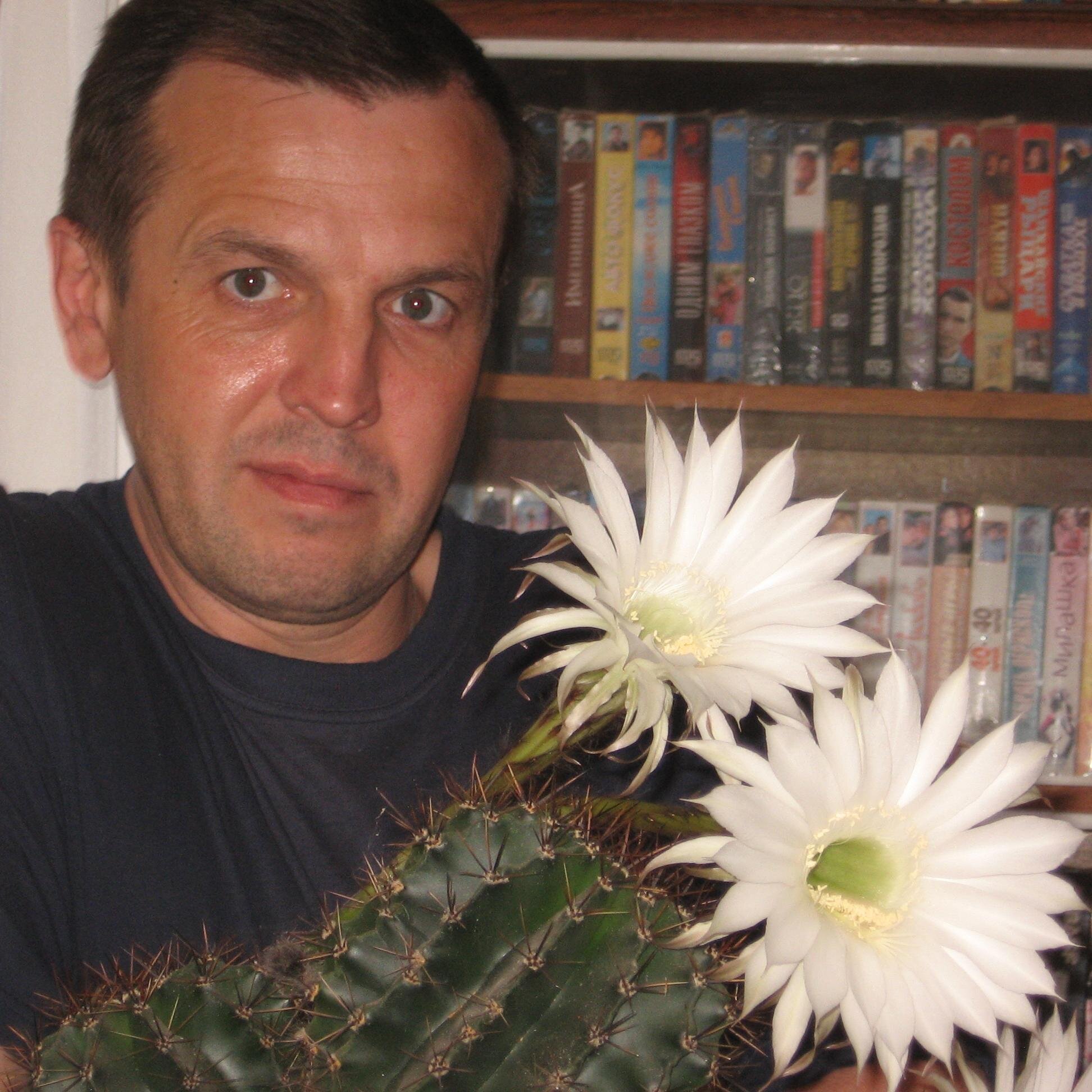 beatles621's profile picture. 