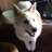 kyokopoo's profile image