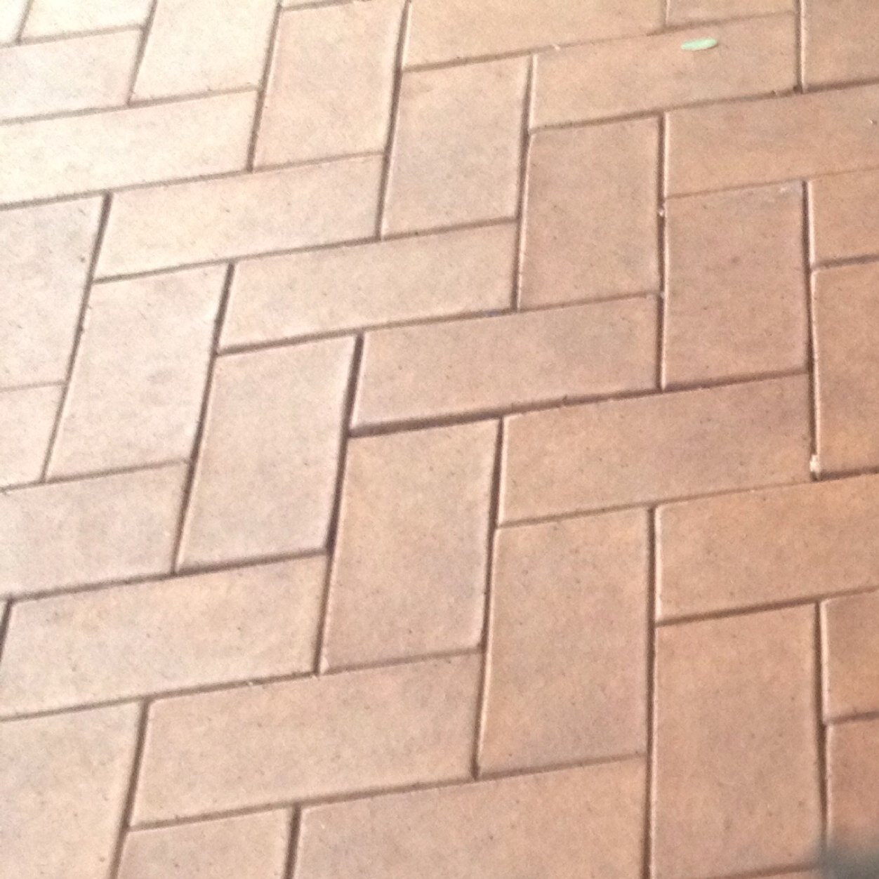 feedsdailylad's profile picture. 