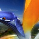 Ana Arroyo - @ArroyoAguilera - Twitter