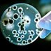 Biotechnology (@biotechnolog_dp) Twitter profile photo