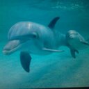 K@n¡J@ - @RaquelParedes19 - Twitter