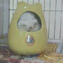 coco.niel - @coco_niel_ - Twitter