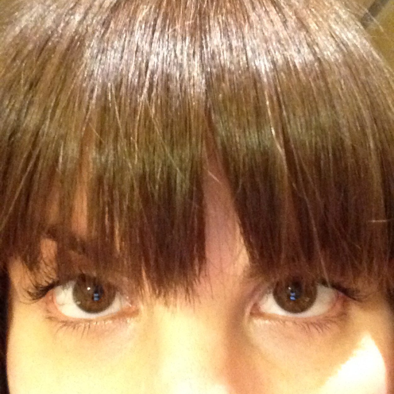 candyho's profile picture. 