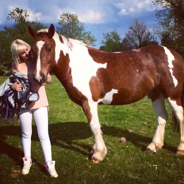 LouH_ST2's profile picture. 