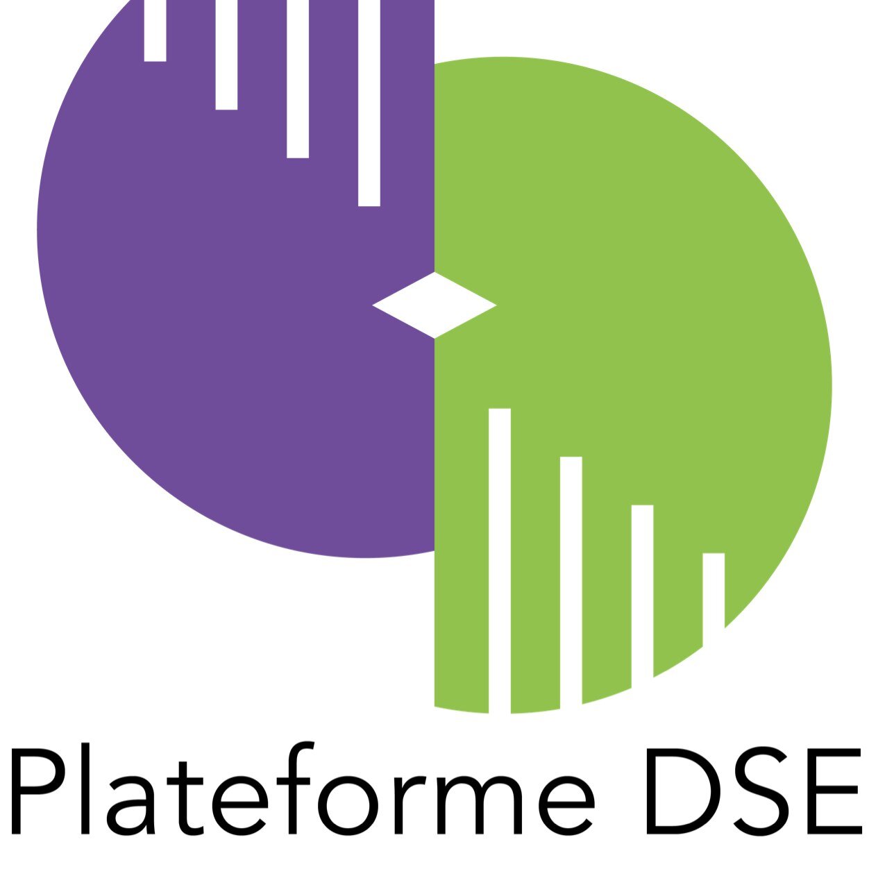 plateformeDSE's profile picture. plateforme de réflexion - débats sur les questions de société - Dialogue interculturel et interconvictionnel