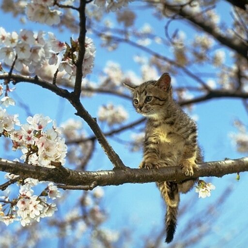 RTしたくなるネタ集めてみました！！