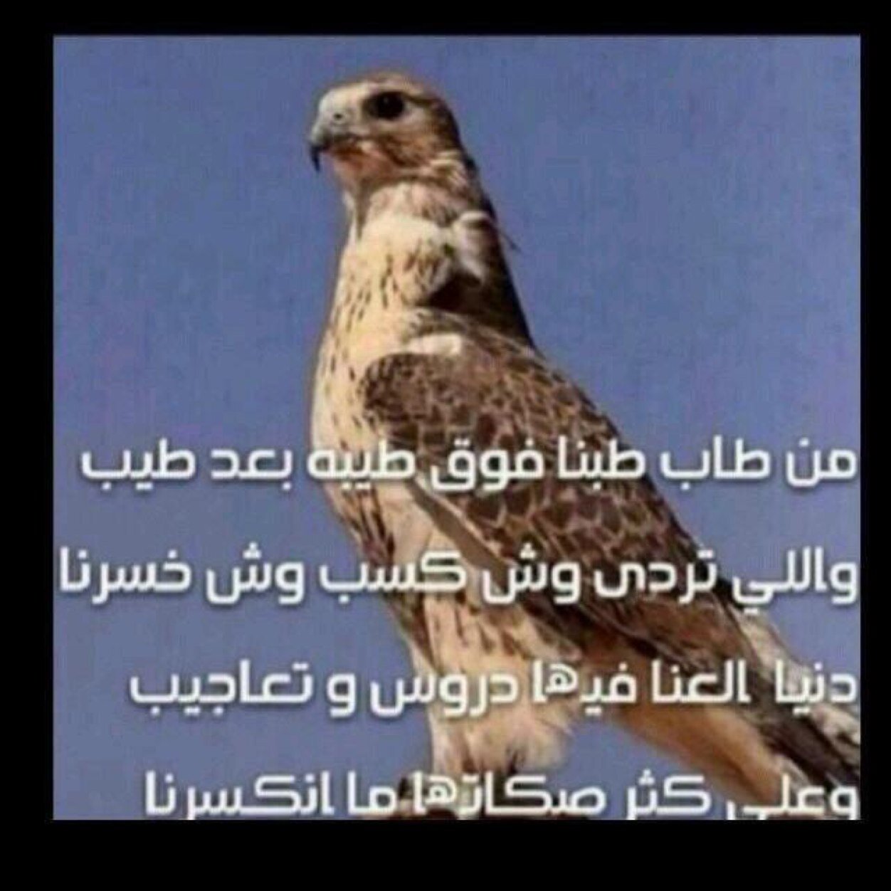 لا اله الا الله✞✞https