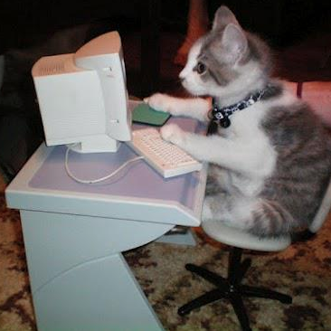 Sourisgri's profile picture. juste un être-humain simple et complexe à la fois (duh !)