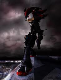 i'm shadow, shadow the hedgehog. i'm the ultimate life form and i'm a G.U.N agent #single