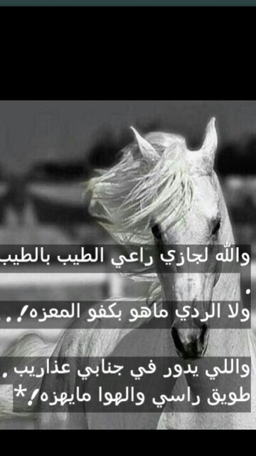 نموت ماعشنا على رزق الذليل -والنفس نجبرها على حب الصبر-لومانطول العذق في روس النخيل-نموت مااكلنا من الطايح تمر