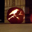 Grace Bannon - @gracebannon - Twitter