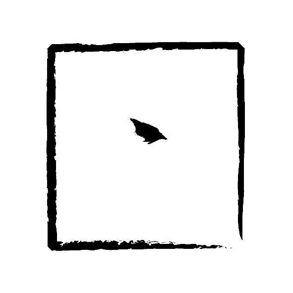 Fiof1's profile picture. FIOF, Fondo Internazionale per la Fotografia, Video e Comunicazione.