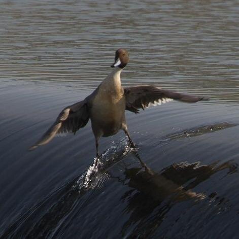 twinchenzo's profile picture. I was gonna write a tweet but then I got high