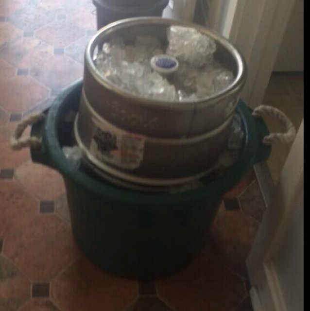 TonightsPlan's profile picture. 