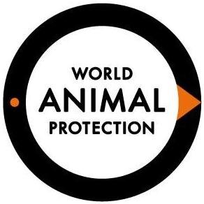 Wij zijn World Animal Protection. We zetten ons elke dag in om wereldwijd dieren te beschermen. Samen maken we een eind aan dierenleed.