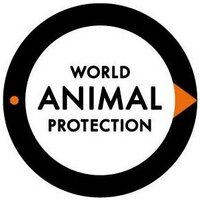 World Animal Protection NL (@wap_nl) 's Twitter Profile