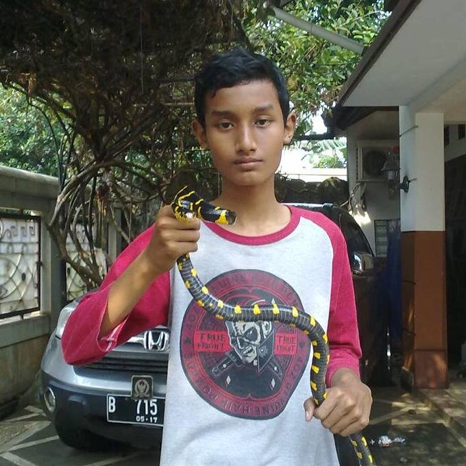 Bismilah (y)