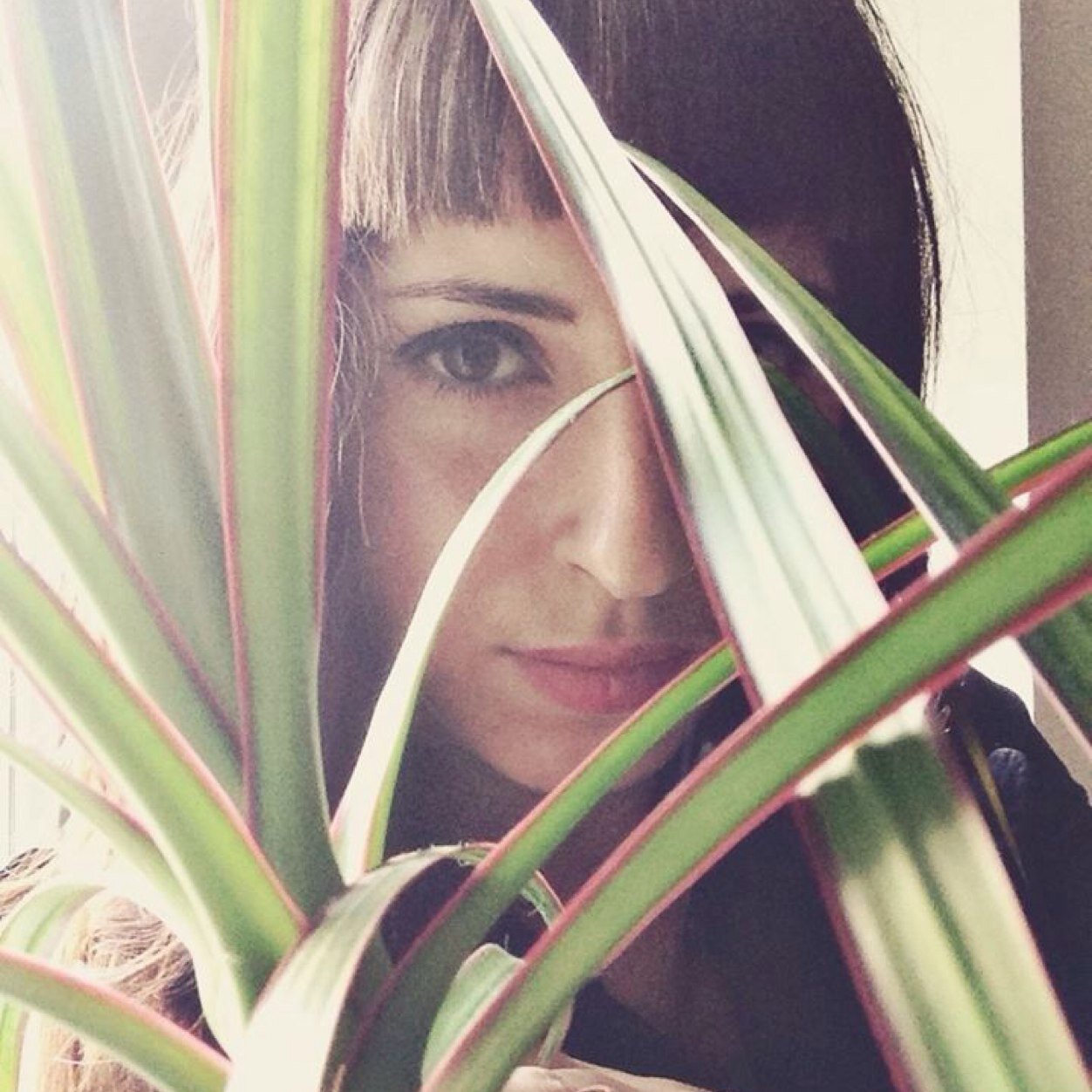 Neus_Neus's profile picture. @heatwavemag