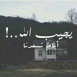 ‏‏‏‏لااظن البايو يفي بالغرض .......التغريده التي اتت بك تكفي                                                                              لﻷستفاده انظر مفضلتي