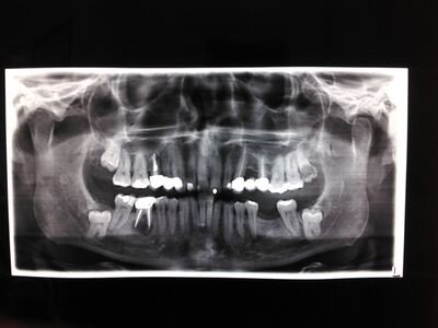 SakkasC's profile picture. 