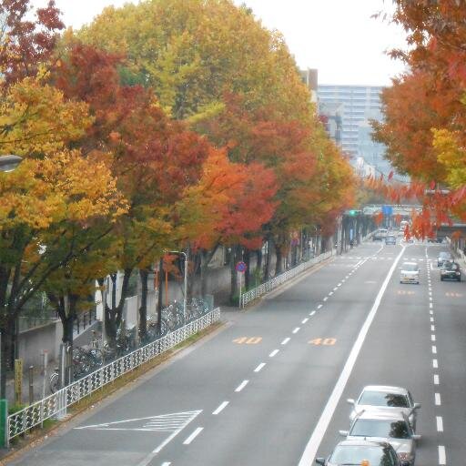 長年玉虫やってますけど、時折空からブログ界を眺めます。相対主義の権化。「絶対！」と言う呪文で悶絶します。玉虫色の美しさには痺れます。ダハッ