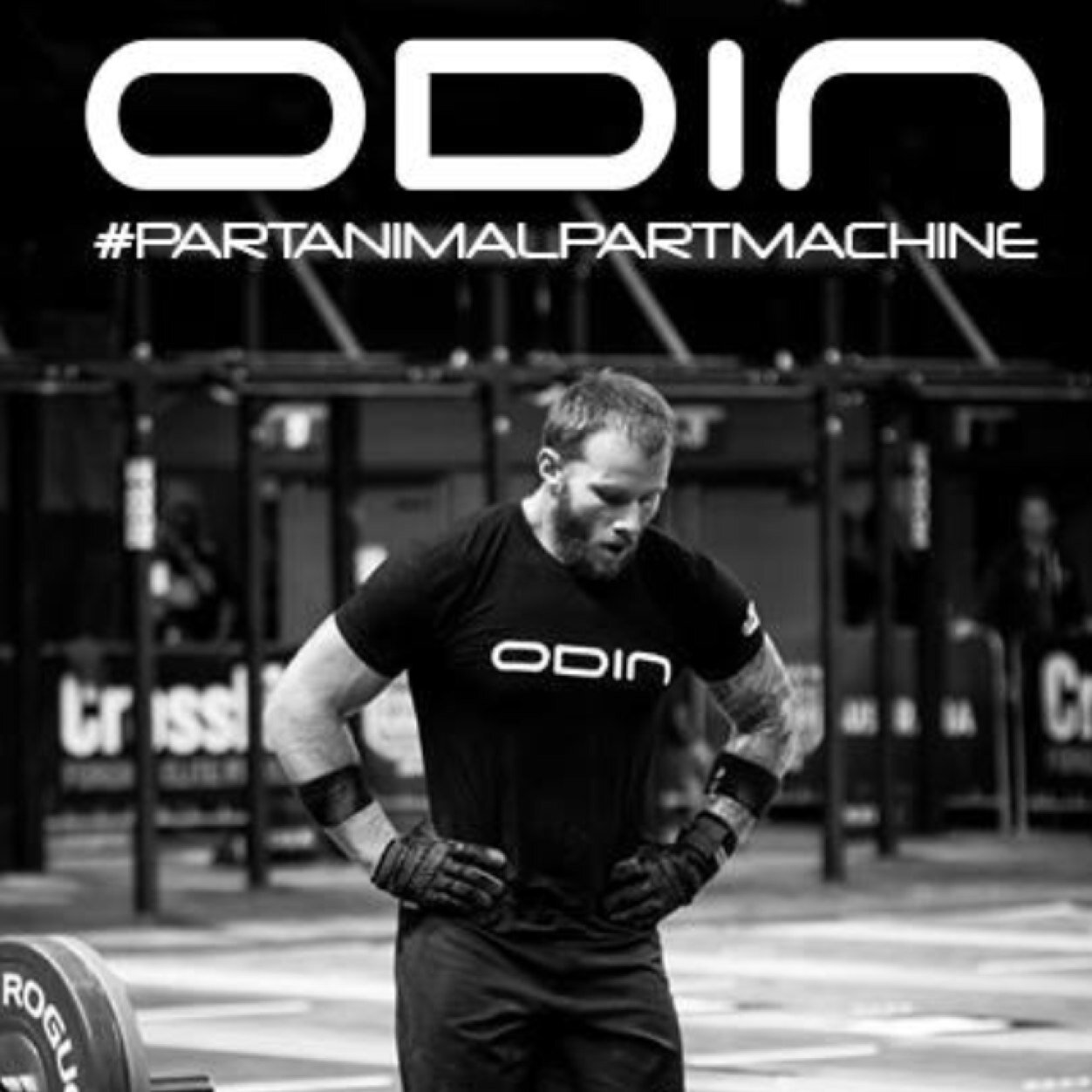 odinanimal's profile picture. 