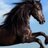 ❤️ ꧁IP꧂الحمدللة (❖,❖)'s Twitter (X) avatar