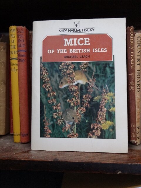 Classics from the hoarders bookshelf. Found humour amongst the matter.