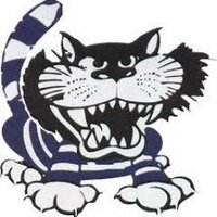 St.Petersburg Cats (@spbcats) 's Twitter Profile
