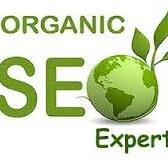 Green SEO experts improves your brand and maintains it for a very long time. We have proved our self as the SEO experts globally,