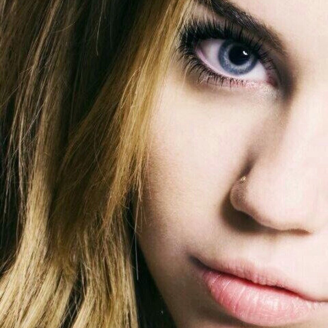 mofaguy's profile picture. 