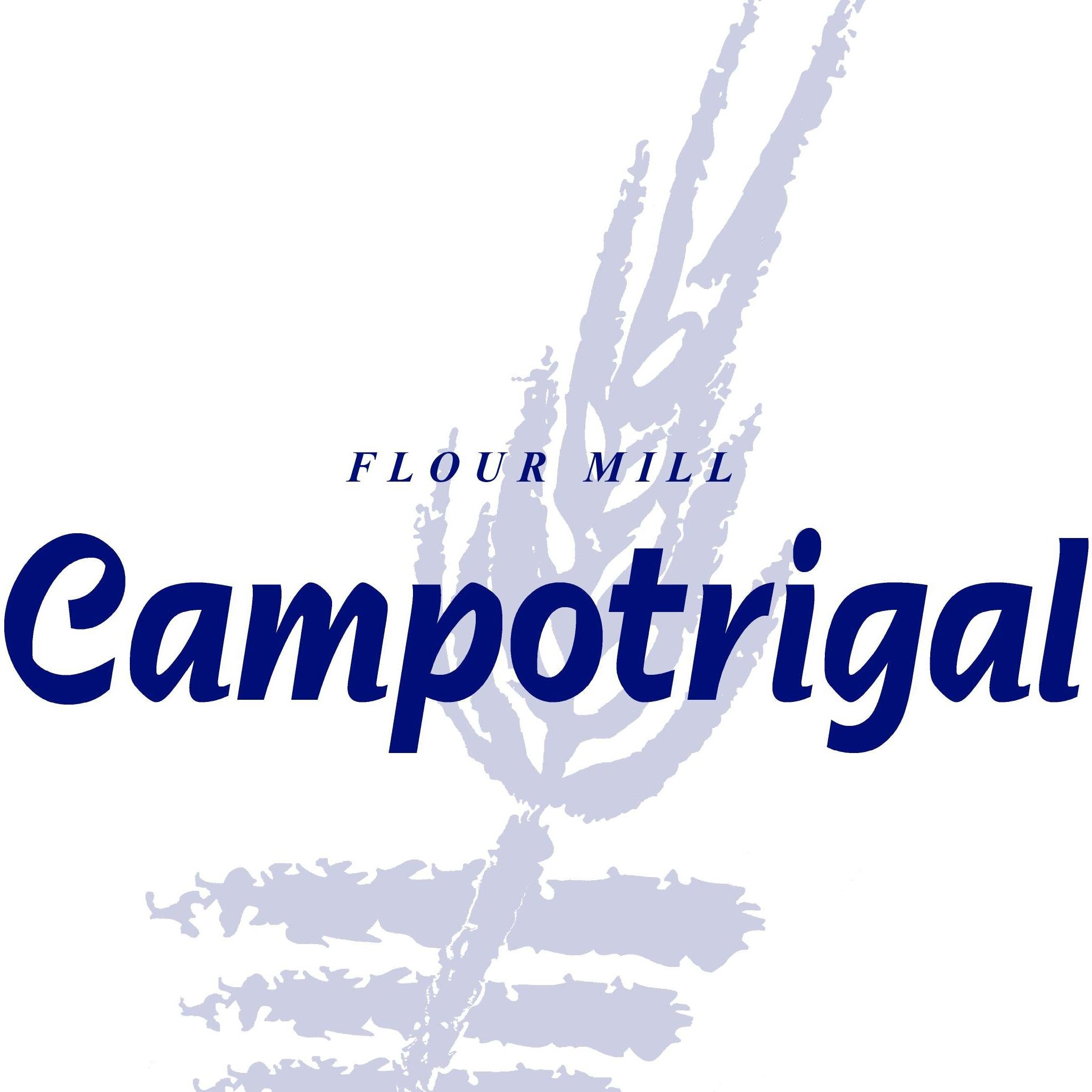 We are manufacturers of High Quality Bakery Wheat Flour, based in Toledo, Spain// Somos fabricantes de harina de trigo panificable, ubicados en Toledo, España.