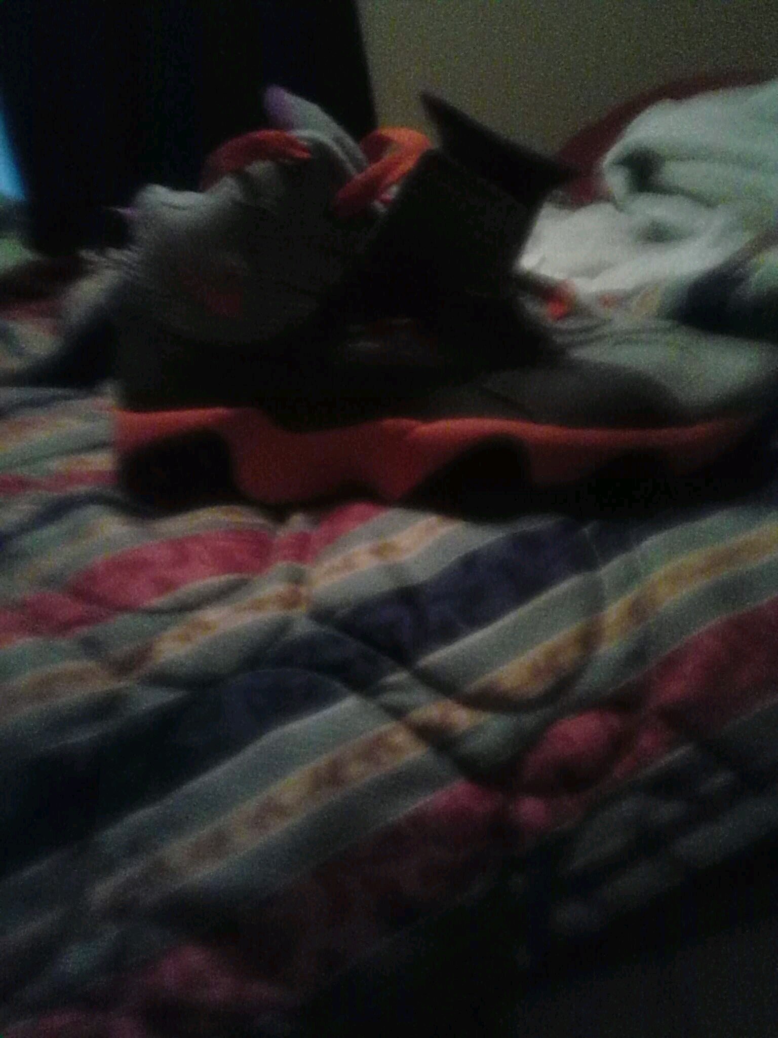 Georgia24870656's profile picture. 