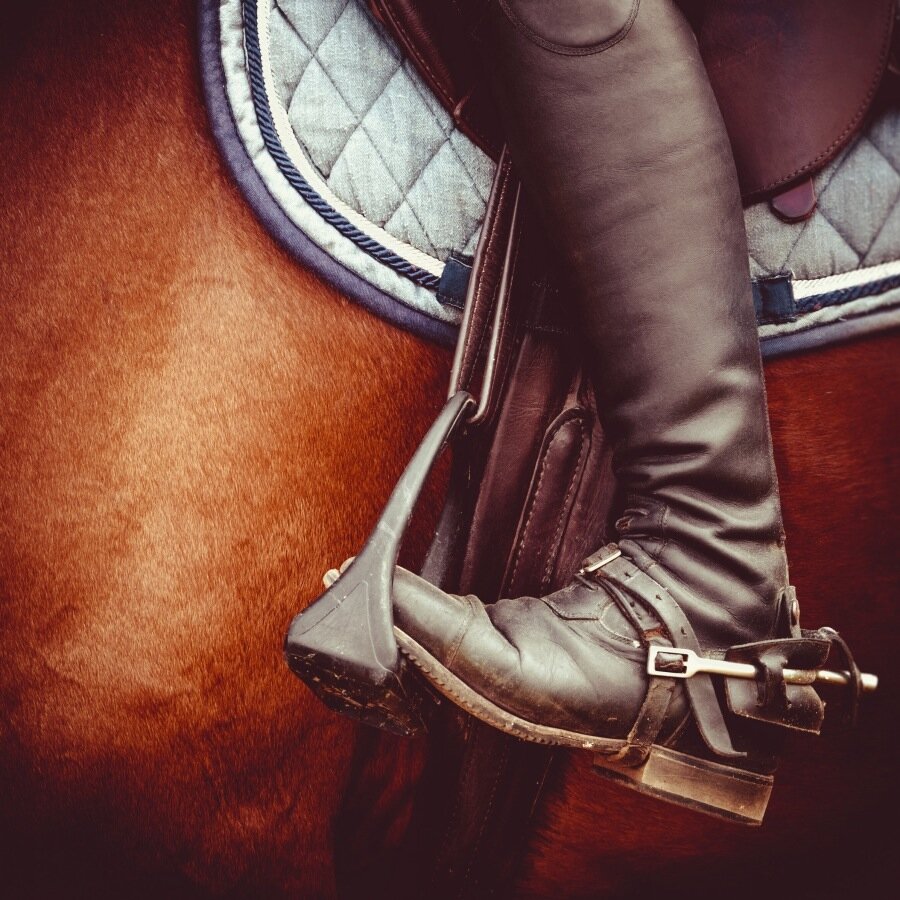 HP_Horse's profile picture. Handpicked Horse Riding delivers you the very best Horse Riding news and images in the UK!