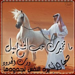 basm00427132's profile picture. 