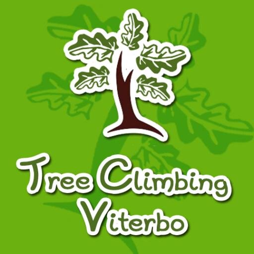 TreeClimbingVT Profile Picture