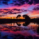 Nancy Repka - @NancyRepka - Twitter