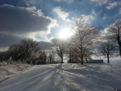 bigfastdog's profile picture. 