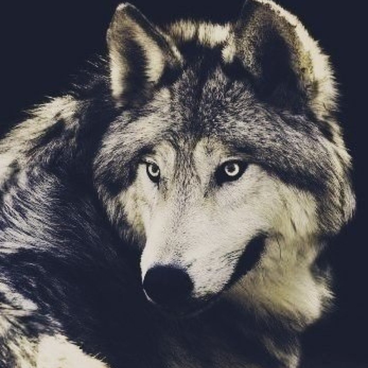 NSPOWER14's profile picture. 