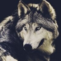 NO TOLERANCE! (@nspower14) 's Twitter Profile