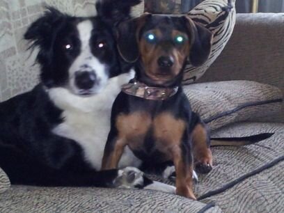 aprilmc36's profile picture. 