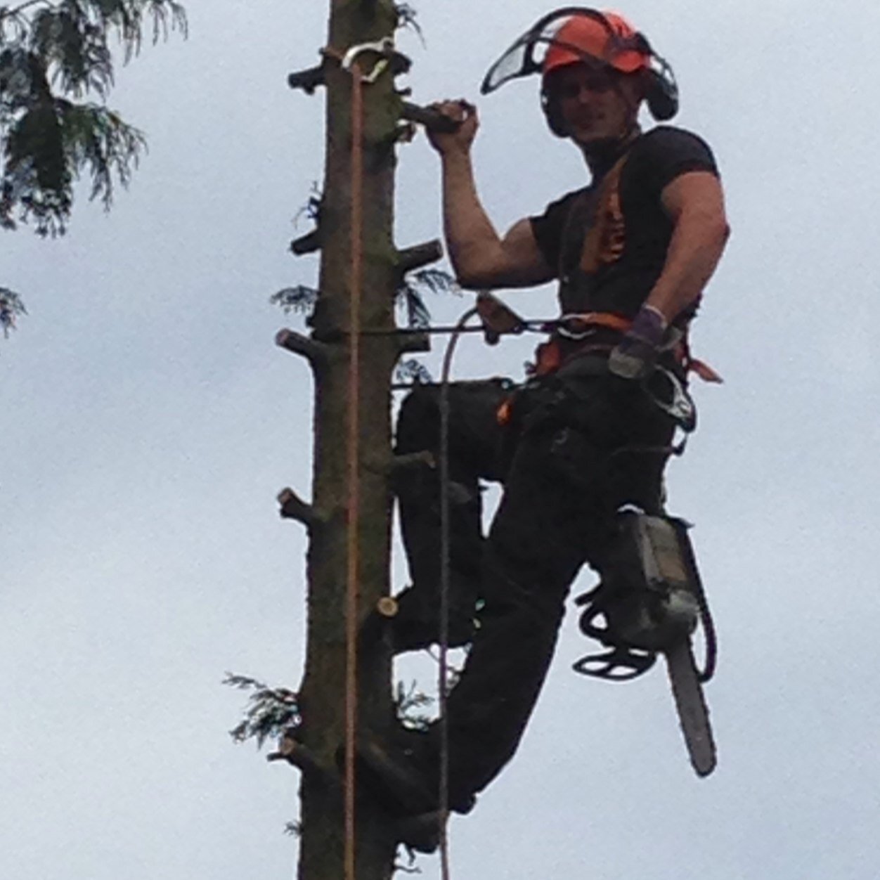 Tree surgeon in the essex and the M25 areas. Delivering high standards of work at competitive prices. Barham Tree Services is a young and thriving business.