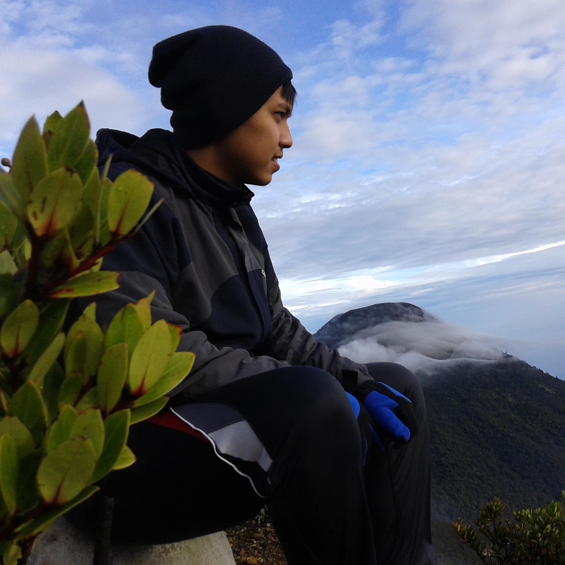 andikairsann's profile picture. Fight!